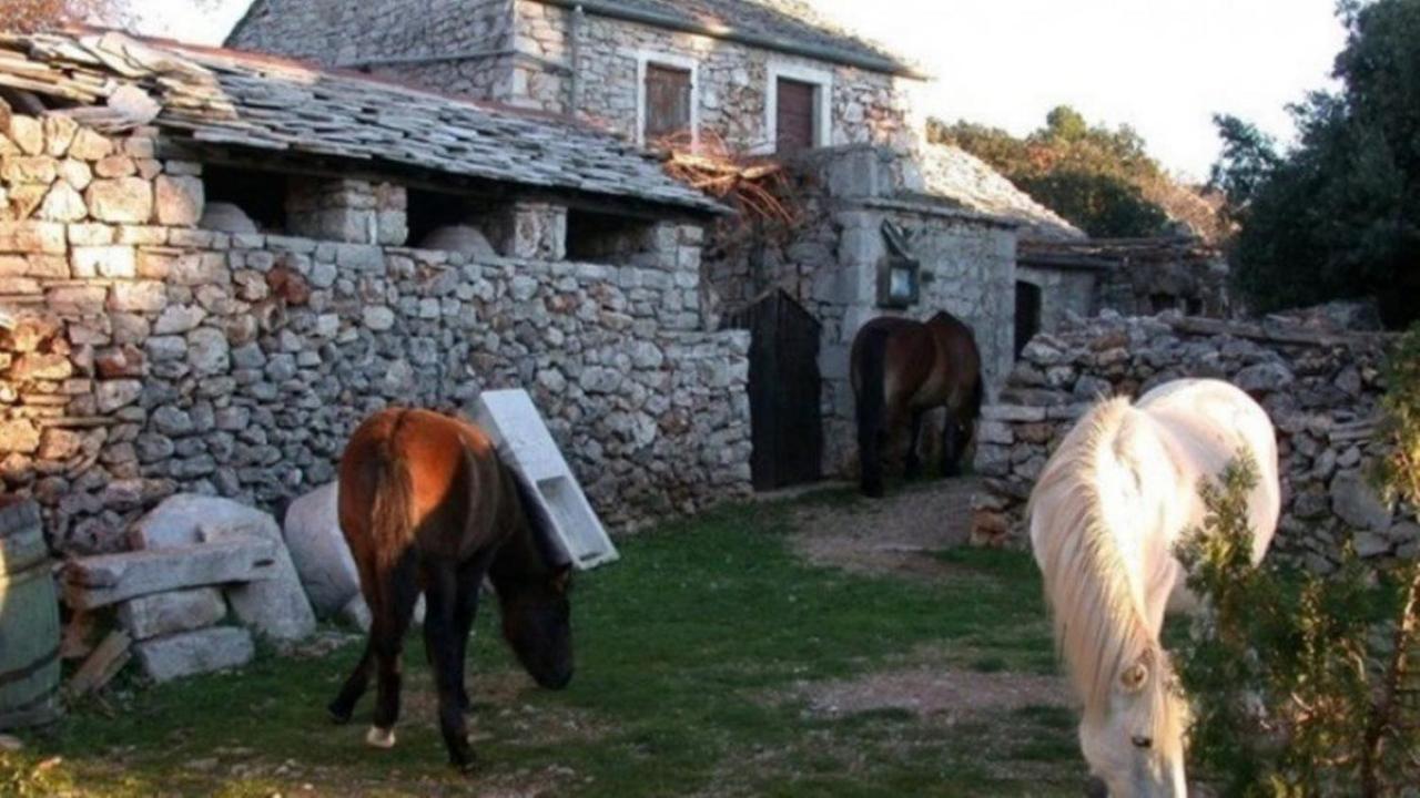 Holiday House Jakov Gdinj Buitenkant foto